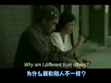 风靡全球的励志短片：I can shine 献给迷路的你